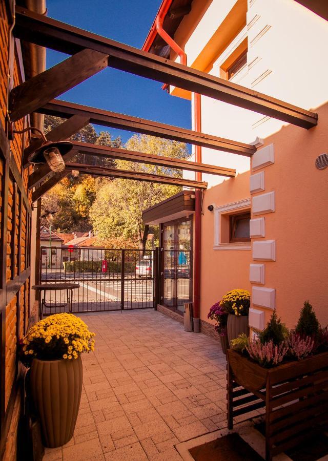 Villa Boutique Arnica Brașov Exterior foto